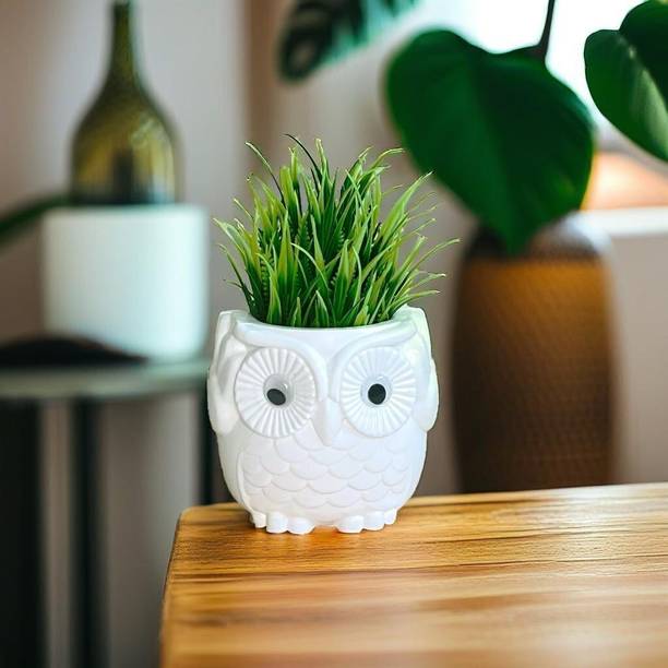Akaar Artificial Fern Plant with Owl Pot for Home Decor Office