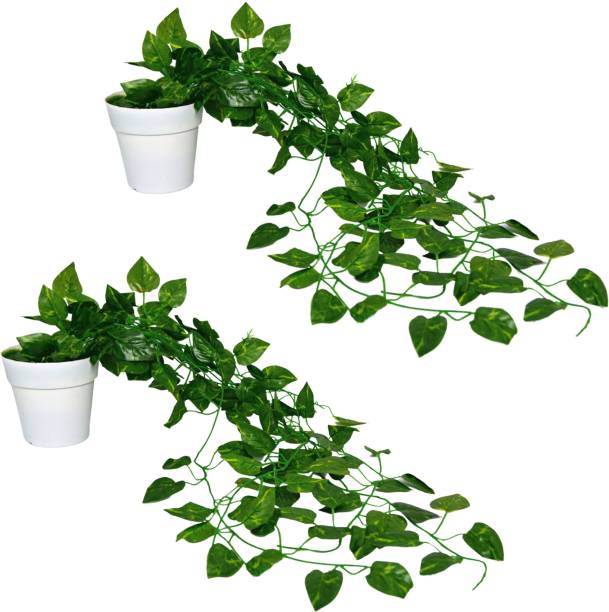 fancymart Real touch Natural look Vine Plant Falling for home decorative Wild Artificial Plant  with Pot