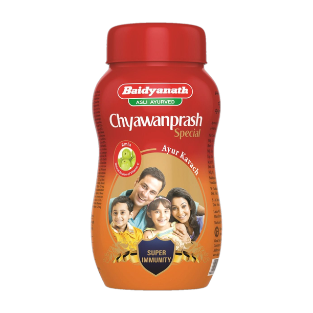Baidyanath Chyawanprash Special - All Round Immunity and Protection - 250g