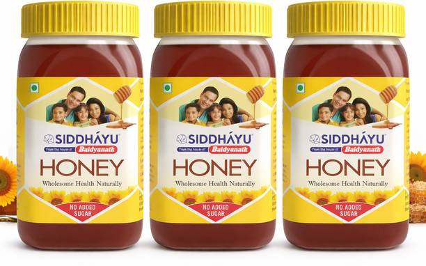 Baidyanath Honey 250 g (Pack of 3) Natural Immunity Booster I Pure Honey