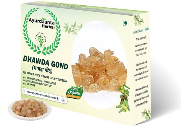 Ayurdaanta Herbs Dhawda Gond (BEST QUALITY & EADIBLE GRADE No.1) 100Gr