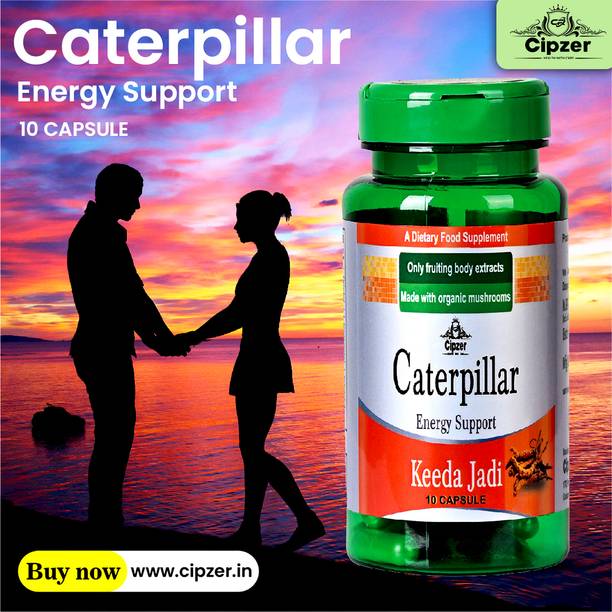 CIPZER Caterpillar Keeda Jadi-Elevate energy level &strengthen immune system 10Capsules