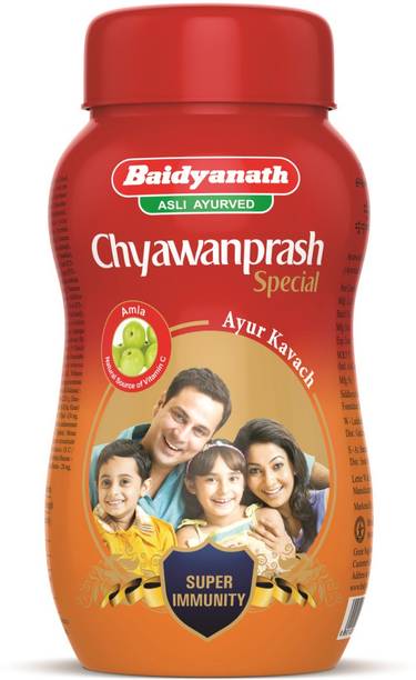 Baidyanath Chyawanprash Special - All Round Immunity and Protection - 250g