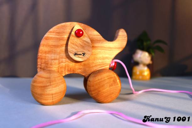 KanuG Push Pull Toy - 1001 Rattle