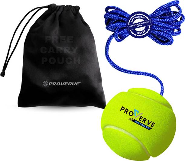 proverve Cricket Tennis Hanging Practice ball Heavy for Indoor/Outdoor Knocking Cricket Training Ball
