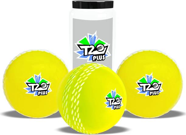 Jaspo T-20 Plus Practice Cricket /Wind Balls for Indoor...