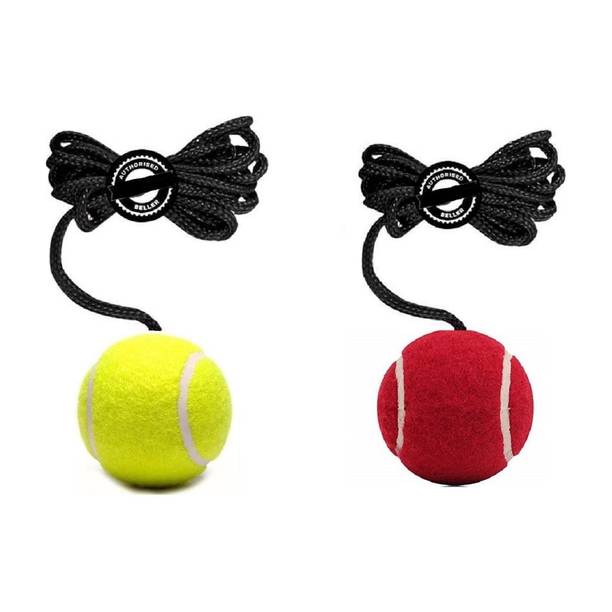 VSC Cricket Tennis Hanging Practice ball Heavy for Indoor/Outdoor Knocking Cricket Cricket Training Ball