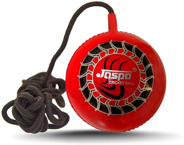 Jaspo Cricket Knocking Ball for Practice, Training, Mat...