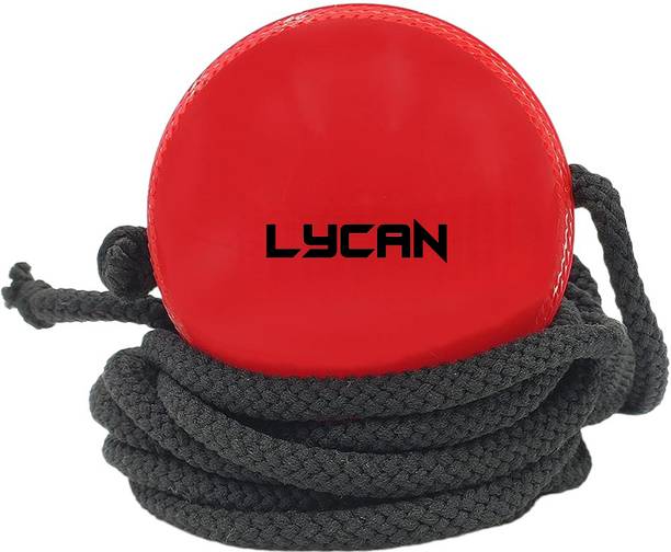 LYCAN Pvc Hangball for cricket practise #cricket traning ball Cricket Training Ball