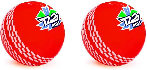 Jaspo T-20 Plus Practice Cricket Ball/Wind Balls for - ...