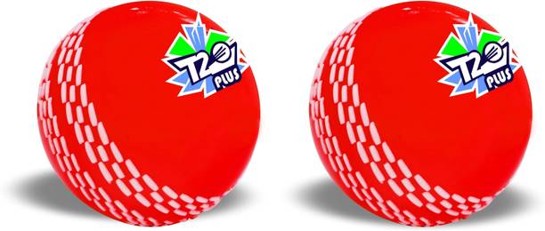 Jaspo T-20 Plus Practice Cricket/Wind Ball for Indoor &...