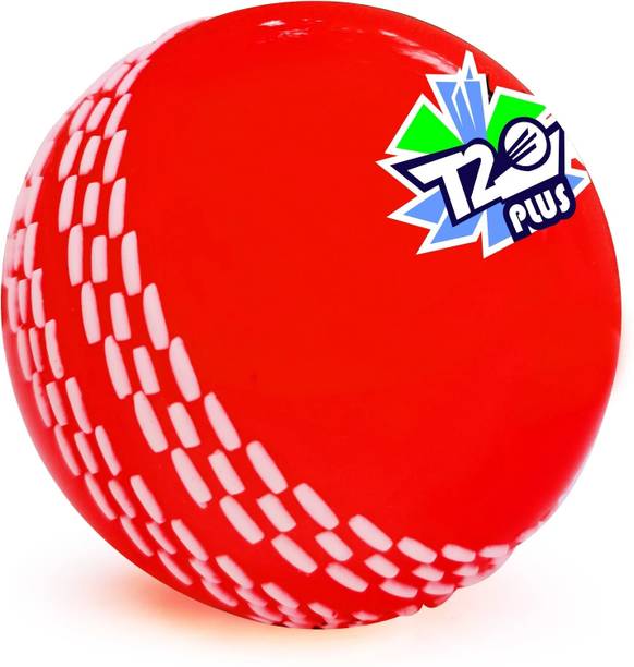 Jaspo T-20 Plus Practice Cricket/Wind Ball for Indoor &...
