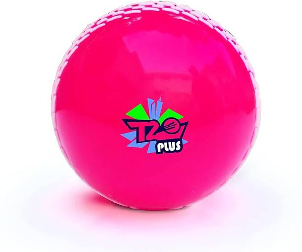 Jaspo T-20 Plus Practice Cricket Ball/Wind Balls for - ...