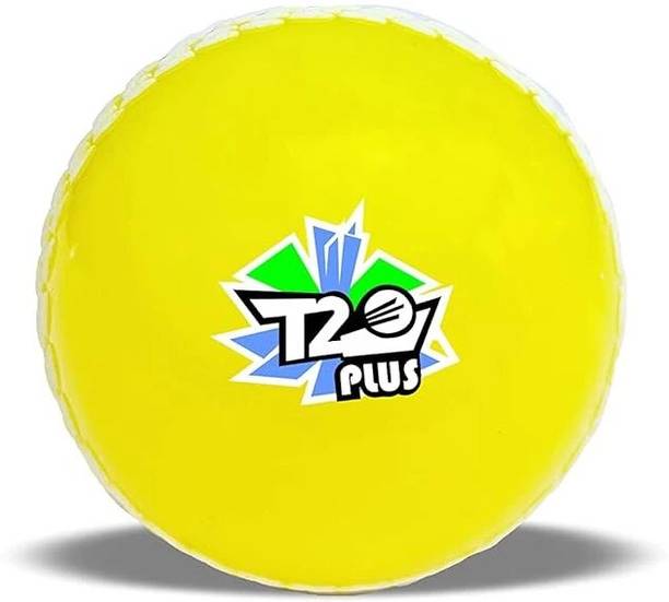 Jaspo T-20 Plus Practice Cricket Ball/Wind Balls for - ...