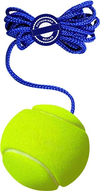 VS Sports Cricket Tennis Hanging Practice ball Heavy for Indoor/Outdoor Knocking Cricket Tennis Ball