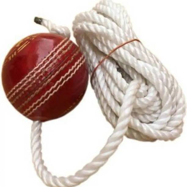 Fit-X Solo Cricket Practice Hanging Ball Red Leather Ball With Durable Nylon Rope Cricket Training Ball