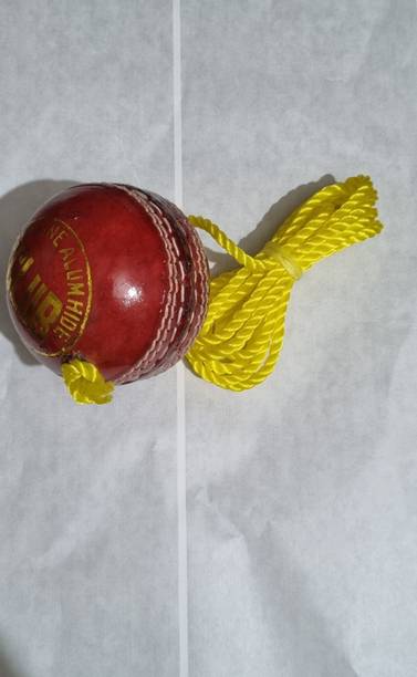 Maenterprises MA Enterprises throw Leather Hanging Ball...