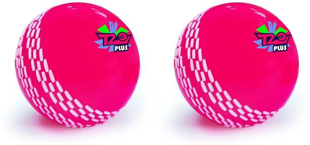 Jaspo T-20 Plus Practice Cricket Ball/Wind Balls for - ...