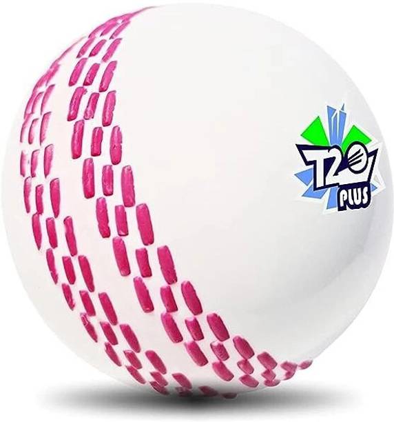 Jaspo T-20 Plus Practice Cricket Ball/Wind Balls for - ...
