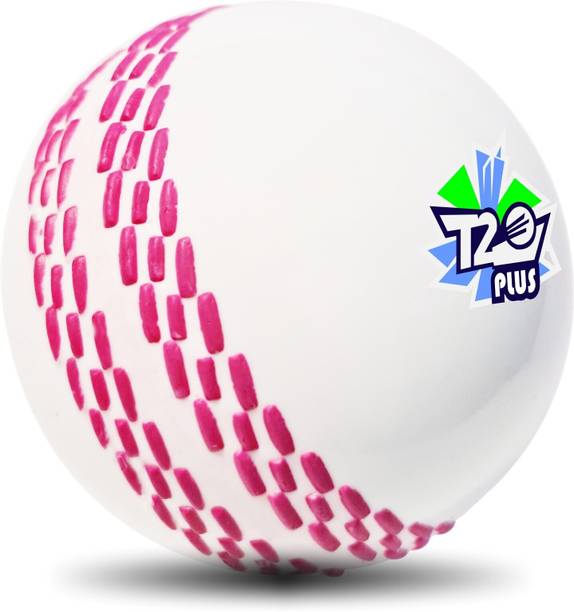 Jaspo T-20 Plus Practice Cricket/Wind Ball for Indoor &...