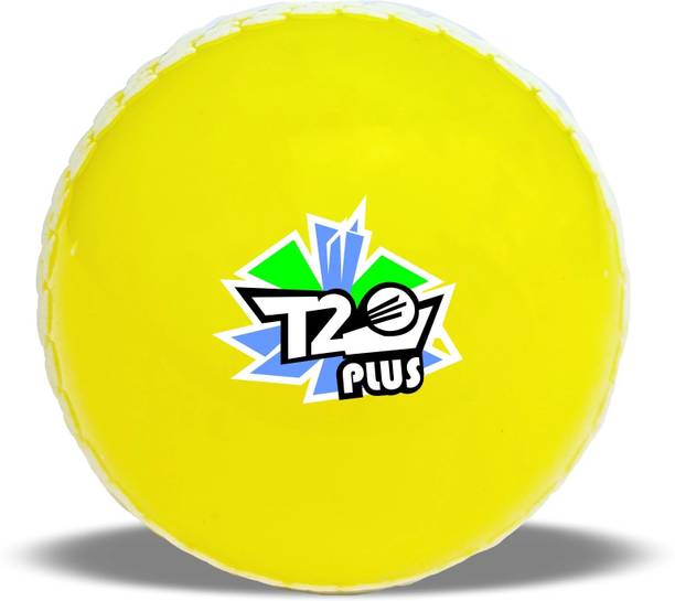 Jaspo T-20 Plus Practice Cricket/Wind Ball for Indoor &...