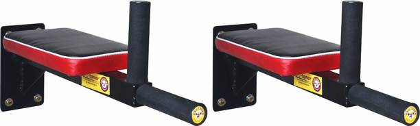 Protoner Wall mountable Dip Station