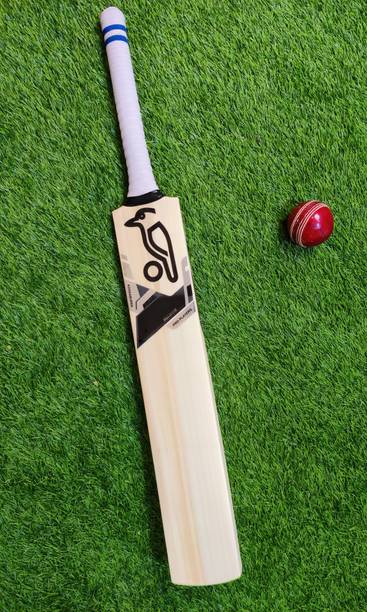 Raider Handcrafted Pro Leather Bat English Willow English Willow
