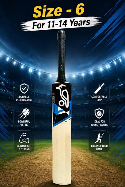 HOUSEOFSPORTS Kookabura Cricket Bat Size 6 for 11-14 Years Poplar Willow Cricket  Bat For 11 - 13 Yrs