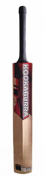 CPB Cricket bat Poplar Willow Cricket  Bat For 12 - 14 Yrs