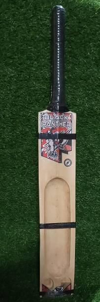 BBG Popular Kashmeri Willow Poplar Willow Cricket Bat ...