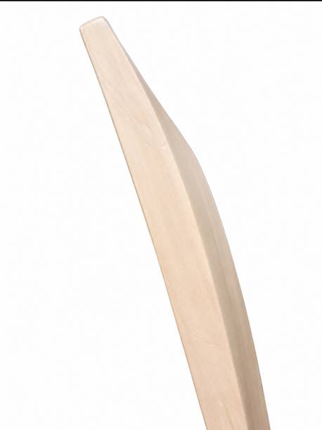 TSPROCRICKET TS PRO KASHMIRI WILLOW Kashmir Willow Cricket  Bat For 15+ Yrs
