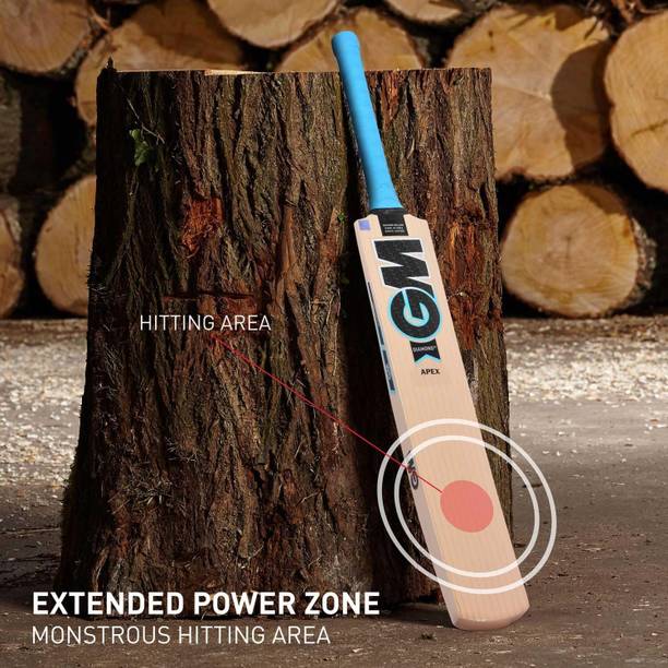 ISBN CLASSIC GM BLUE KASHMIRI WILLOW BAT FOR HARD TENNIS BAL 1000