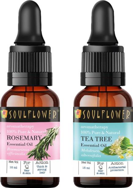 सोल्फ्लोवर एसेंशियल ऑइल रोज़मेरी 15ml, टी ट्री 15ml, 100% प्रीमियम और प्योर, नैचुरल और अनडिल्यूटेड, एंटी डैंड्रफ, हेयर ग्रोथ, एक्ने कंट्रोल, कपूर फैमिली प्रीमियम ऑइल के लिए