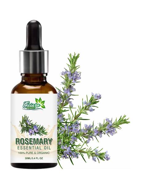 Cesaro Organics Rosemary Essential Oil 100% Pure & Natural for Hair Growth, Skin, Anti Dandruff