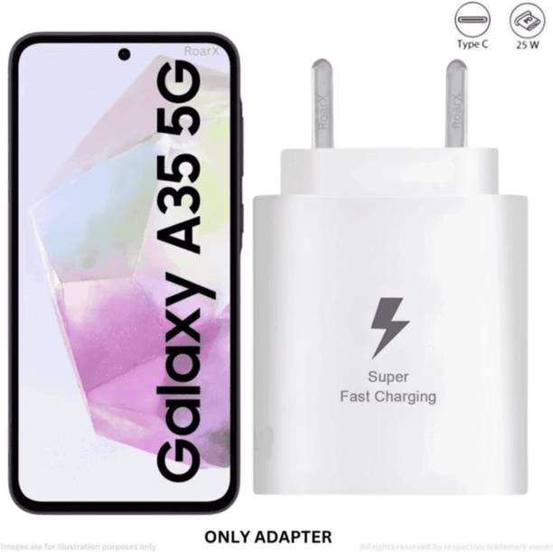 RoarX 25 W Adaptive Charging 3.1 A Wall Charger for Mobile