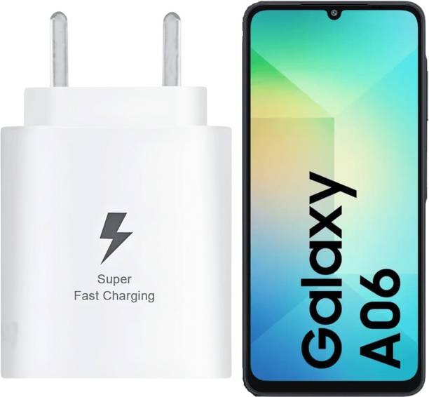 RoarX 25 W PPS 3 A Wall Charger for Mobile