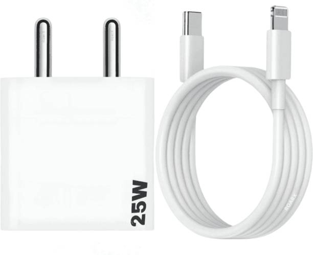 RoarX 25 W PPS 3.1 A Wall Charger for Mobile with Detachable Cable