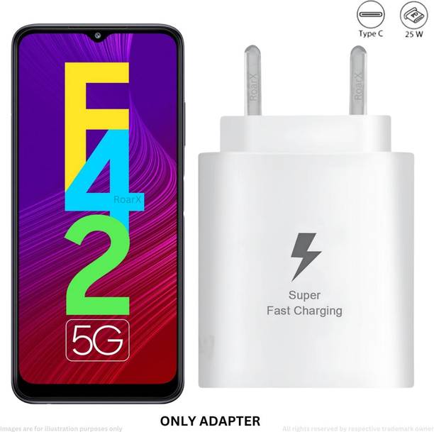 RoarX 25 W PD 3 A Wall Charger for Mobile