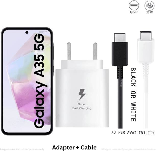 RoarX 25 W PD 3 A Mobile Charger with Detachable Cable