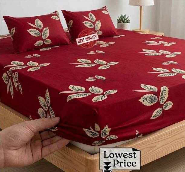 Bedsheat hub Cotton Double Fitted (Elastic) 320 TC Prin...