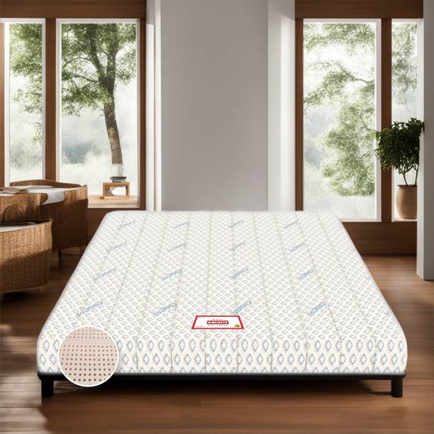 COIRFIT BIOLIFE 7-Zone LATEX with Talalay Tech. 10 inch Single Latex Foam Mattress