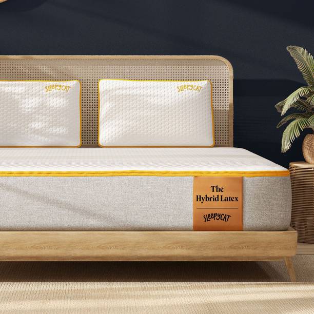 SleepyCat Hybrid 3-Layered Latex Orthopedic 5-zone support 6 inch Single High Density (HD) Foam Mattress