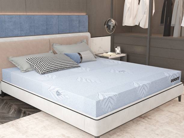 COLOFLY 3 Layered Orthopedic memory Foam 6 inch Single Memory Foam Mattress