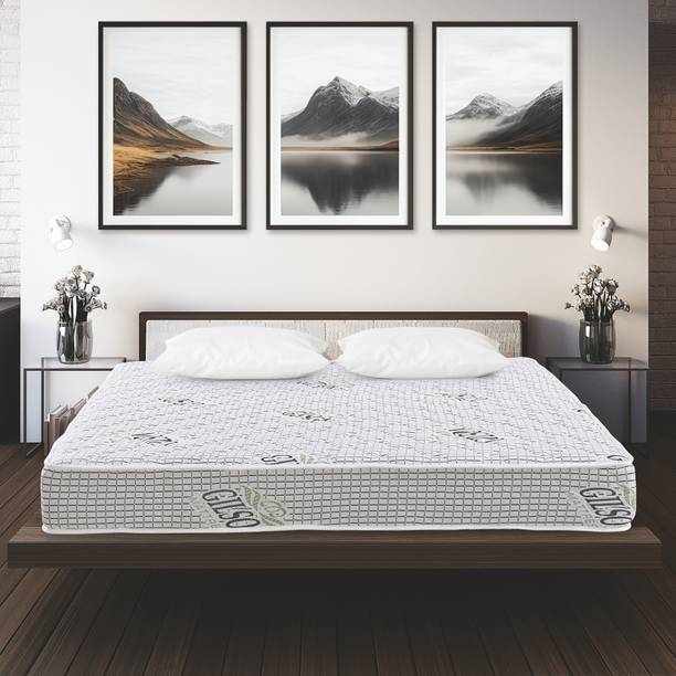Gilson Ruby Reversible Orthopedic 6 inch Single Bonnell Spring Mattress