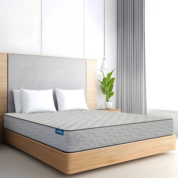 LUXOLA MEMORY COMPRESSED MATTRESS DOUBLE 8 inch Double High Resilience (HR) Foam Mattress