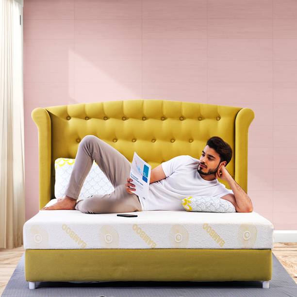 Repose Spine Pro Memory Foam 6 inch Single PU Foam Mattress