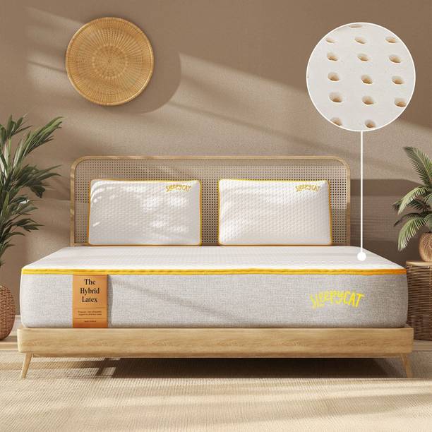 SleepyCat Hybrid Latex Mattress for Back Pain Relief & Comfort 8 inch Double Latex Foam Mattress