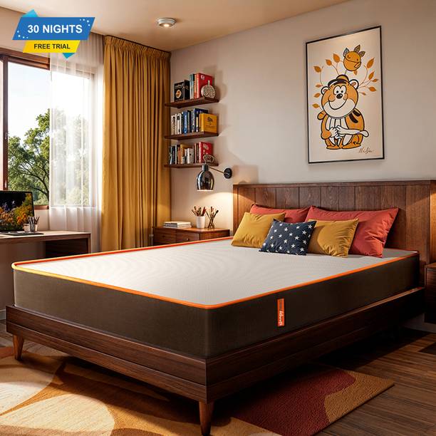 Sleepyhead Original - BodyIQ Orthopedic Memory 10 inch Queen High Density (HD) Foam Mattress