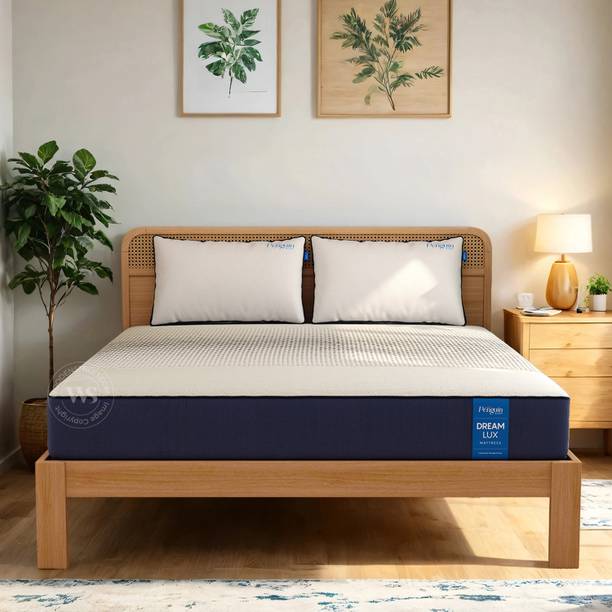 Wooden Street Penguin Dream Lux Orthopedic Mattress | Medium Firm | Charcoal Infused Layer | 8 inch King Memory Foam Mattress