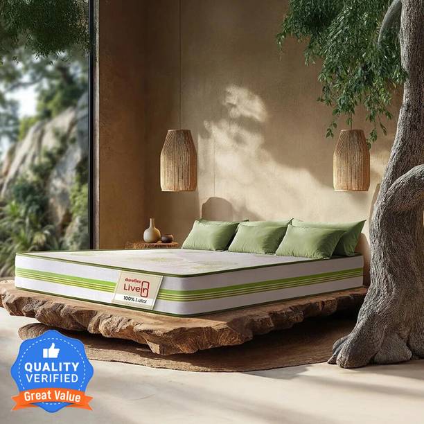 duroflex LiveIn Latex - Natural Pincore, Eco-Friendly, Naturally Cool Mattress 6 inch Double Latex Foam Mattress